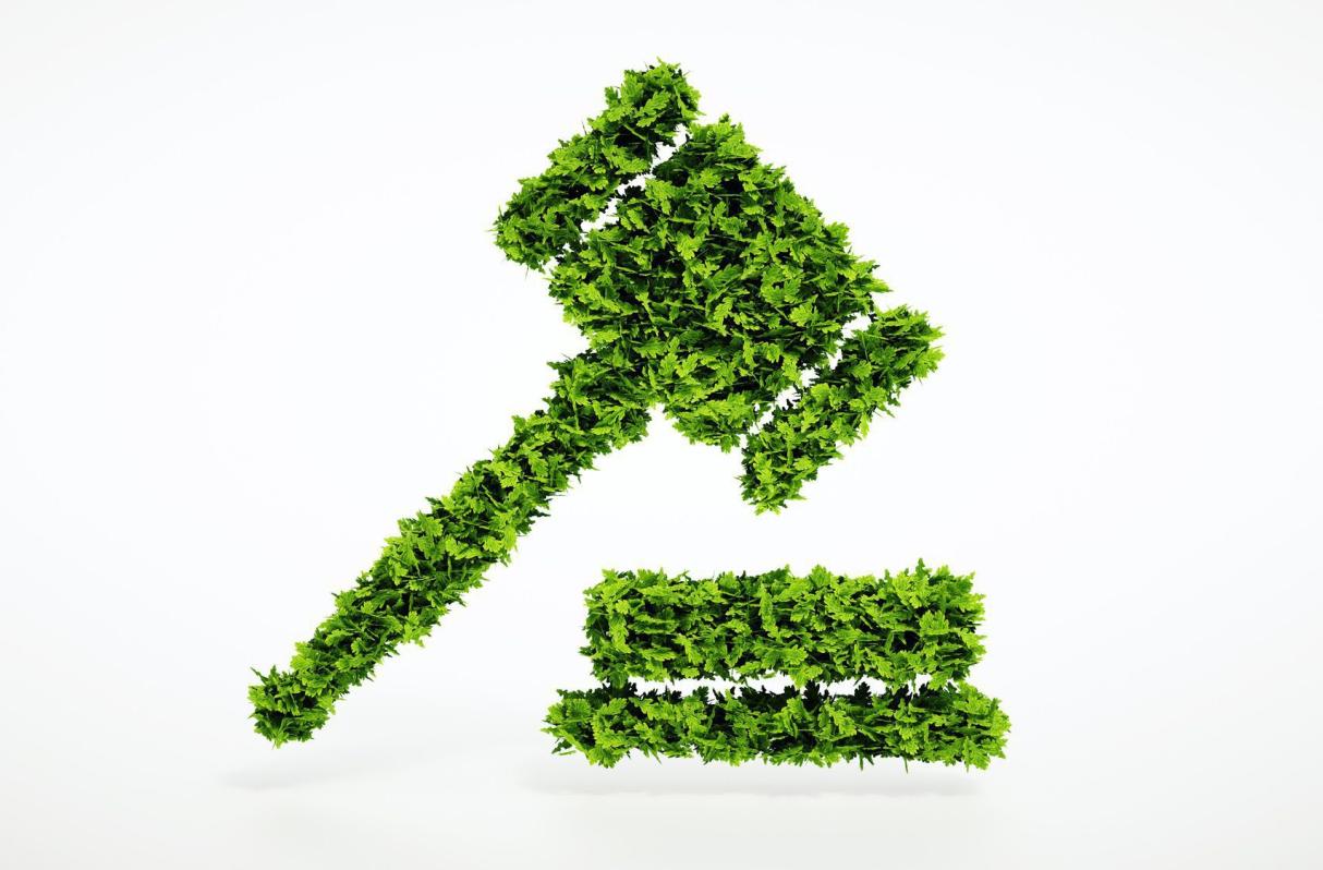 How Can a Business Law Attorney Help Me Avoid Environmental Law Violations?