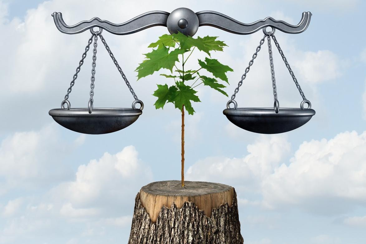 What are the Current Trends in Environmental Law and How Do They Impact Businesses?
